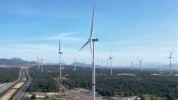 Nhà máy điện gió hơn 5.700 tỷ ở Bình Định tìm nhà đầu tư 