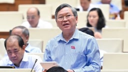 Hàng giả 'lưu hành hợp pháp' do đâu?