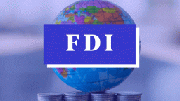 Vốn FDI toàn cầu giảm mạnh - mức thấp nhất sau gần 3 thập kỷ