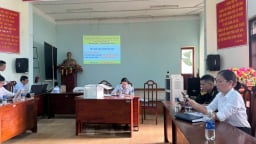 Ba mỏ cát ở Quảng Nam trúng đấu giá cao gấp hàng chục lần giá khởi điểm