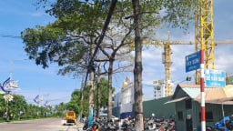 Doanh nghiệp Nghệ An đầu tư hơn 3.500 tỷ xây chung cư 46 tầng tại Bình Định
