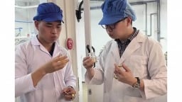 Quản lý thị trường ở đâu trong các vụ sữa giả, thực phẩm chức năng giả?
