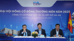 'Người' Viconship vào HĐQT HAH
