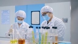 Ba 'ông lớn' Bình Định rút két, chi hơn 360 tỷ chia cổ tức tiền mặt