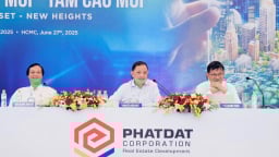 Chủ tịch Phát Đạt hứa 'chiến đấu hết mình, để 
  cổ phiếu lên trên 30.000 đồng là vui nhất'