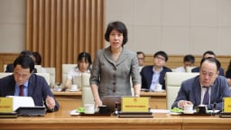Thứ trưởng Bộ Tài chính: Việt Nam không xây dựng Trung tâm tài chính quốc tế thành 'thiên đường về thuế'