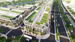 Ngân Tín Group tăng trưởng tiên phong với hệ sinh thái xanh