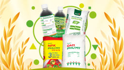 Bộ ba vàng vô cơ – hữu cơ – sinh học của Phú Mỹ - PVFCCo
