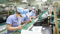 Đến 2030, Hà Nội phấn đấu kinh tế tư nhân đóng góp khoảng 60% GRDP