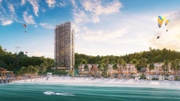 Giải mã tiềm năng thương mại dồi dào của căn hộ Sun Group Cát Bà