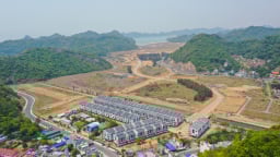 Lộ diện chủ mới dự án Cát Bà Amatina