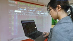 Thị trường vào giai đoạn ‘đẩy giá’, đầu tư cổ phiếu nào?