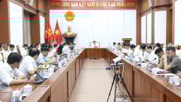 Hải Phòng: Tập trung nguồn lực, tháo gỡ vướng mắc mặt bằng các dự án truyền tải điện