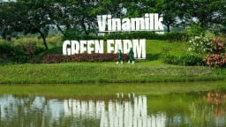 Vinamilk 'mở khóa tự nhiên' tại Green Farm: Mô hình sinh thái truyền cảm hứng doanh nghiệp