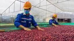 Giữa thuế đối ứng, đơn hàng xuất khẩu tăng trở lại