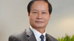 ‘Doanh nghiệp gỗ Việt cần chào bán thêm các mặt hàng mới tới các thị trường cũ’