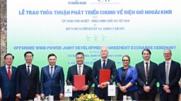 Petrovietnam, tập đoàn Đan Mạch bắt tay phát triển điện gió ngoài khơi