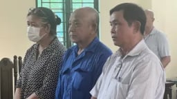 Công an TP.HCM tiếp tục đề nghị truy tố cựu Giám đốc Công ty Tân Tân