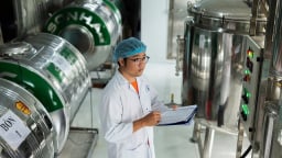 Người 'lên đời' cây dừa nước Việt Nam