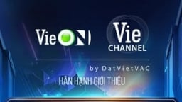 Giải mã cấu trúc tài chính DatViet VAC: Vì sao VieON và mảng AI 'biến mất' khỏi thực thể IPO?