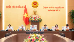 Sửa Luật Đầu tư: Cắt giảm tối thiểu 30% ngành, nghề đầu tư kinh doanh phải thực chất