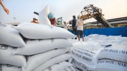 Sri Lanka mời thầu quốc tế nhập khẩu 200.000 tấn gạo