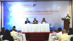  Đại hội PJICO: Sẽ dành ngân sách để tham gia các đợt đấu giá cổ phần