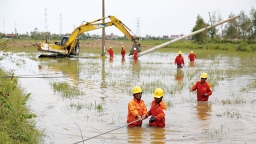 Cấp điện nhanh sau bão: Kinh nghiệm từ EVNCPC