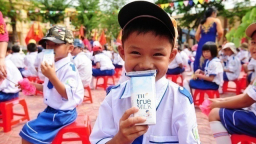 Chương trình Sữa học đường quốc gia được triển khai thế nào?