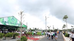 Thị trường BĐS Vũng Tàu dự kiến tăng nhiệt trong năm nay