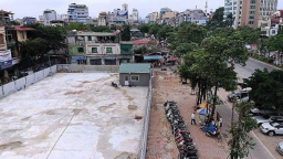 Trung tâm đấu giá chè Việt Nam ở đâu?
