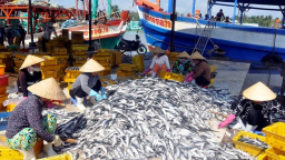 Thủ tướng yêu cầu dùng tiền bồi thường của Formosa đầu tư các dự án tại 4 tỉnh miền Trung