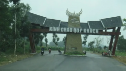 Du khách nhập viện khẩn cấp vì rắn độc cắn