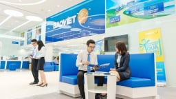 Tập đoàn Bảo Việt sẽ chi hơn 700 tỷ đồng trả cổ tức