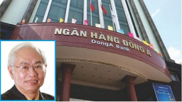 Không thẩm định, ông Trần Phương Bình duyệt vay tín chấp hàng trăm tỷ cho công ty lỗ triền miên