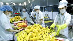 Xuất khẩu nông lâm thủy sản 4 tháng đầu năm giảm 4,9%