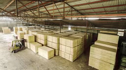 Mỹ điều tra chống lẩn tránh thuế với gỗ dán của Việt Nam