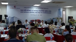 TCH dự lãi 800 tỷ năm 2020