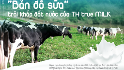 Con đường tạo dựng 'Bản đồ sữa' trải khắp đất nước của TH true MILK