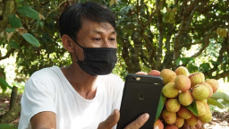 Điểm mặt những nền tảng công nghệ tham gia hỗ trợ tiêu thụ nông sản