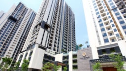 Đằng sau đà tăng của cổ phiếu HDG
