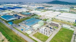 Bình Định có nhà máy chế biến gỗ gần 4.400 tỷ đồng