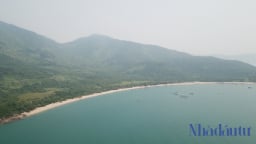 Đà Nẵng lập tổ hỗ trợ đẩy nhanh tiến độ 'siêu' dự án Làng Vân