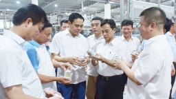 Nhà máy bia Hà Nội - Nghệ Tĩnh chính thức vận hành