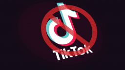 Vì sao làn sóng cấm cửa TikTok lan rộng?