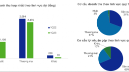 Nhóm cổ phiếu An Phát Holdings báo cáo kết quả kinh doanh quý I khả quan