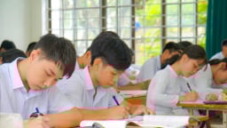 Đà Nẵng chi hơn 400 tỷ đồng miễn học phí cho học sinh các cấp