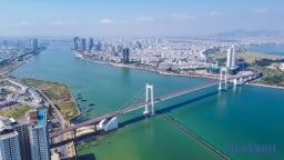 Loạt doanh nghiệp ở Đà Nẵng bị cưỡng chế tài khoản