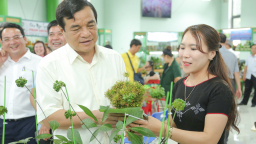 Quảng Nam đưa sâm Ngọc Linh vươn ra thế giới