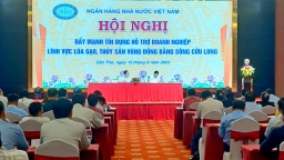 Đề xuất nhiều giải pháp tín dụng nông nghiệp vùng đồng bằng sông Cửu Long